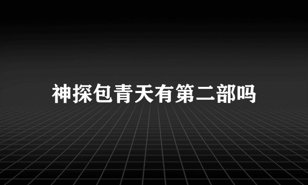 神探包青天有第二部吗