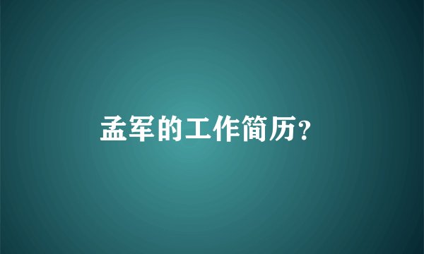 孟军的工作简历？