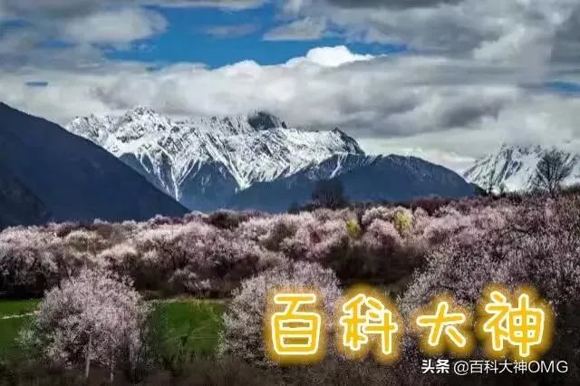 在东京奥运会上，俄罗斯为什么叫俄罗斯奥委会队？