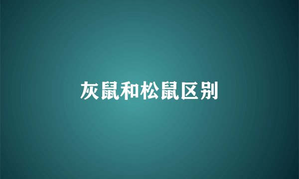 灰鼠和松鼠区别