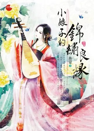 南安太妃传的内容简介