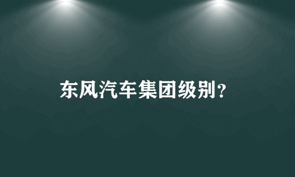 东风汽车集团级别？