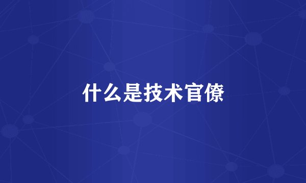 什么是技术官僚