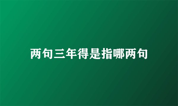 两句三年得是指哪两句