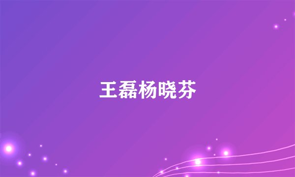 王磊杨晓芬