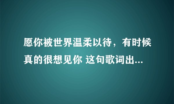 愿你被世界温柔以待，有时候真的很想见你 这句歌词出自哪首歌？