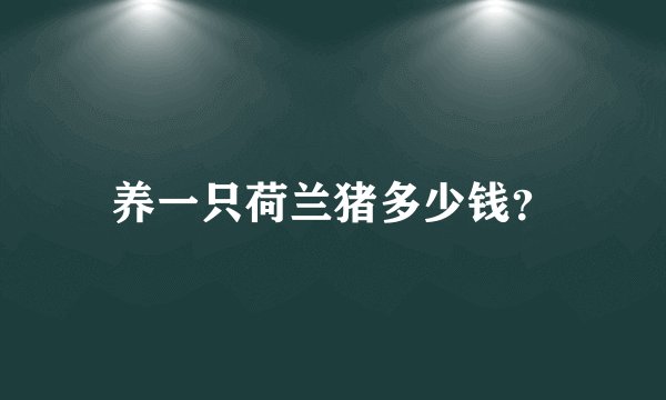 养一只荷兰猪多少钱？