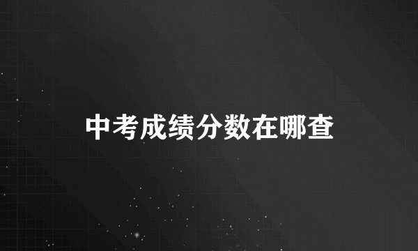 中考成绩分数在哪查