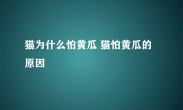 猫为什么怕黄瓜 猫怕黄瓜的原因