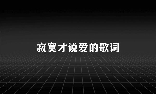 寂寞才说爱的歌词
