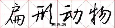 扁形动物