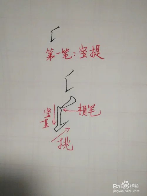 氏的笔顺和书写规范