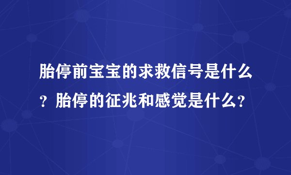 胎停前宝宝的求救信号是什么?胎停的征兆和感觉是什么?
