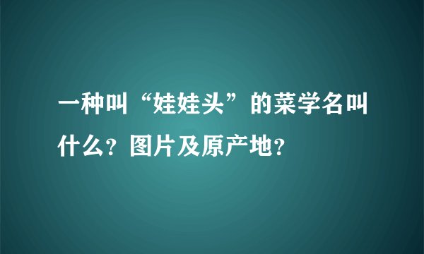一种叫“娃娃头”的菜学名叫什么？图片及原产地？