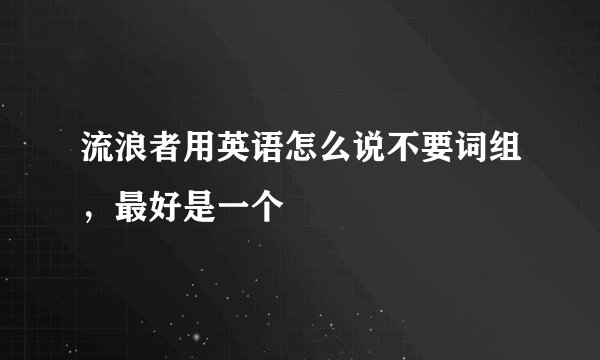 流浪者用英语怎么说不要词组，最好是一个