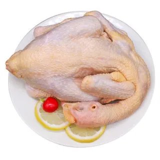 鸡肉价格