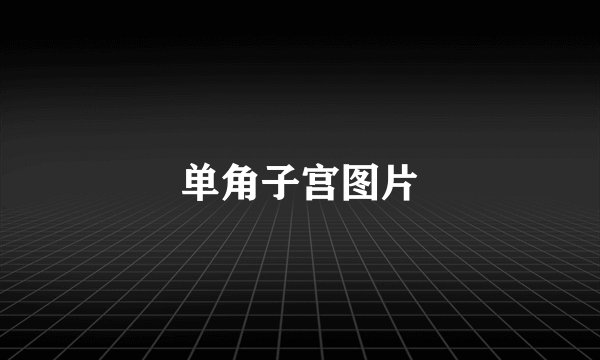 单角子宫图片