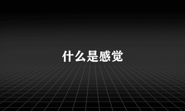 什么是感觉