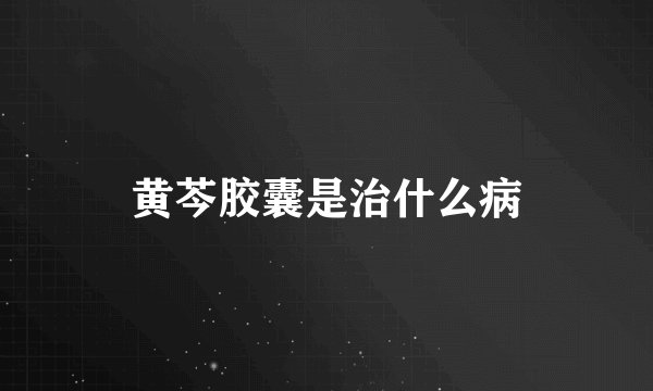 黄芩胶囊是治什么病