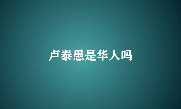 卢泰愚是华人吗