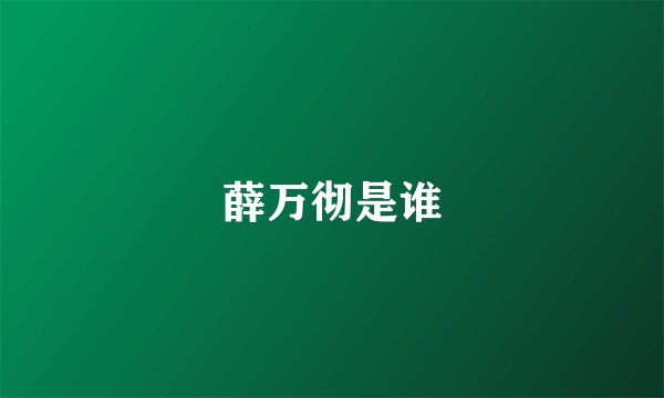 薛万彻是谁