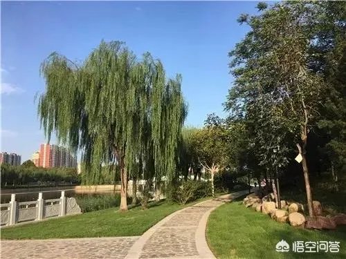 石家庄水上公园好玩吗?
