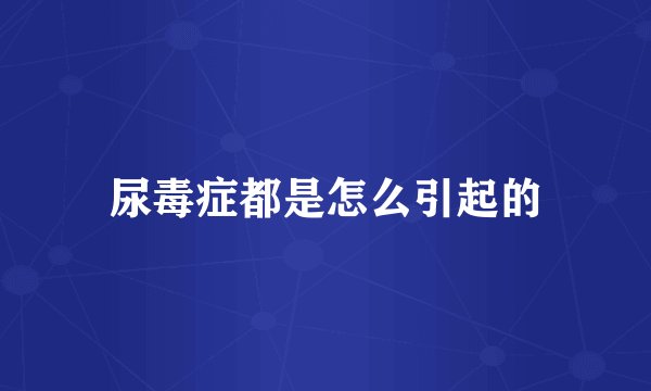 尿毒症都是怎么引起的
