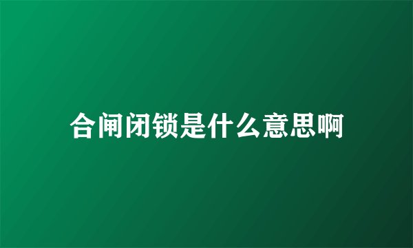 合闸闭锁是什么意思啊