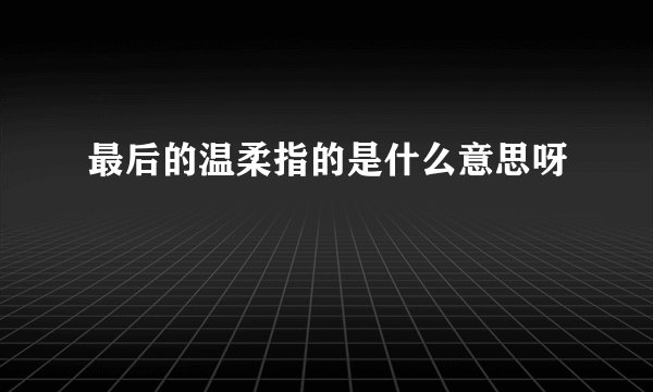最后的温柔指的是什么意思呀