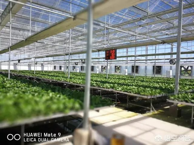 什么是设施农业?