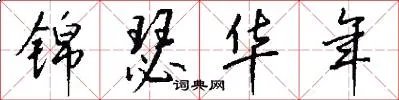 锦瑟华年