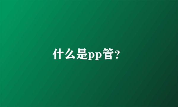 什么是pp管？