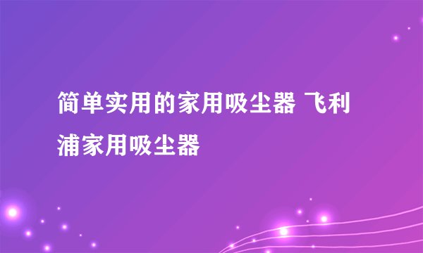 简单实用的家用吸尘器 飞利浦家用吸尘器