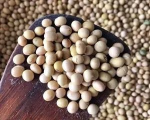 炒黄豆的做法