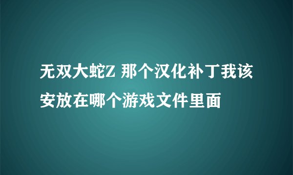 无双大蛇Z 那个汉化补丁我该安放在哪个游戏文件里面