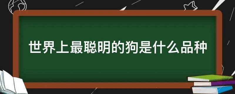 世界上最聪明的狗是什么品种