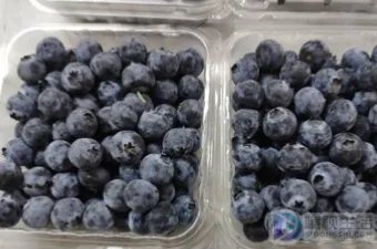 蓝莓怎么清洗