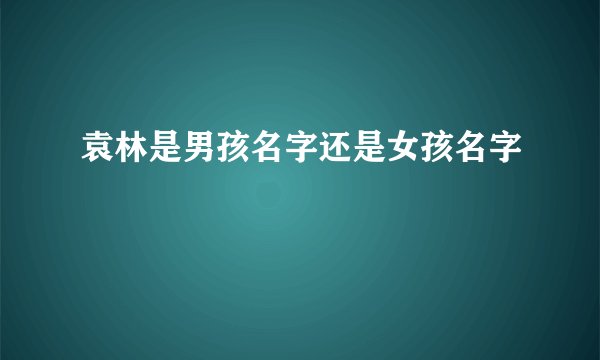 袁林是男孩名字还是女孩名字