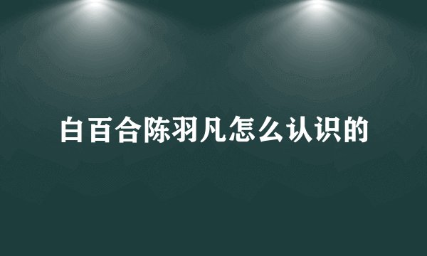 白百合陈羽凡怎么认识的