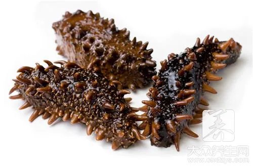 野生淡干海参怎么吃