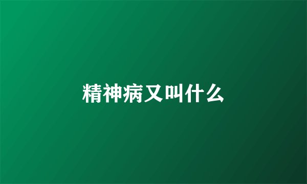 精神病又叫什么