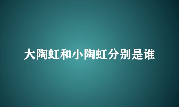 大陶虹和小陶虹分别是谁