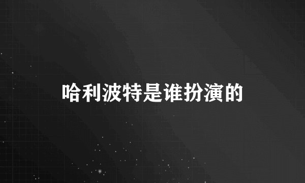 哈利波特是谁扮演的