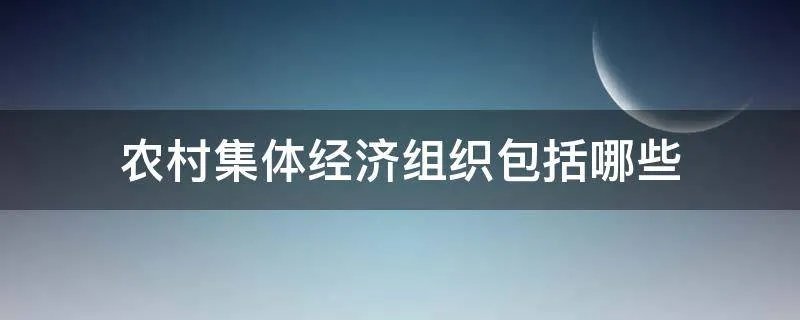 农村集体经济组织包括哪些