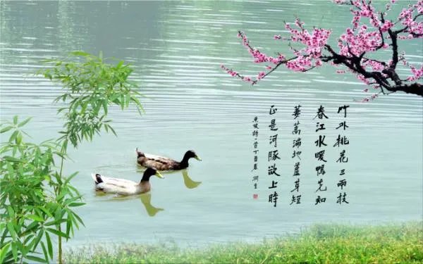 竹外桃花三两枝,春江水暖鸭先知的意思是什么?急!急!急!
