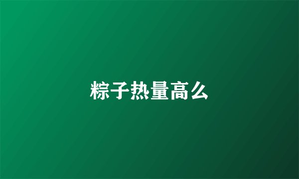 粽子热量高么