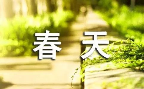 春天的作文