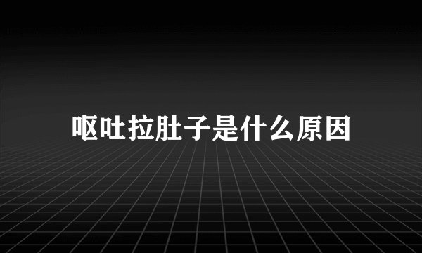 呕吐拉肚子是什么原因