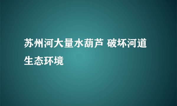苏州河大量水葫芦 破坏河道生态环境