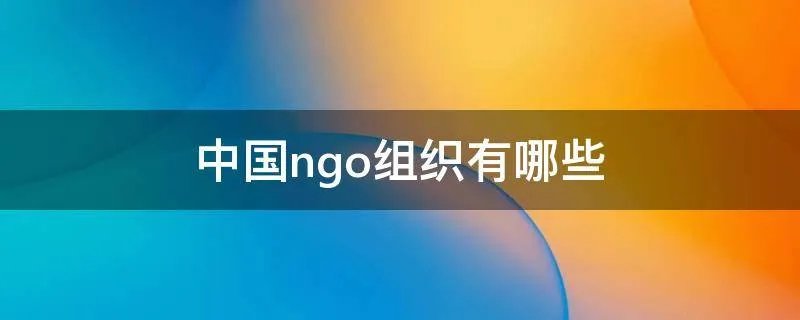 中国ngo组织有哪些